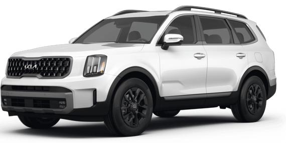 KIA TELLURIDE 2024 5XYP5DGC6RG429965 image