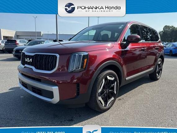 KIA TELLURIDE 2024 5XYP34GC1RG460210 image