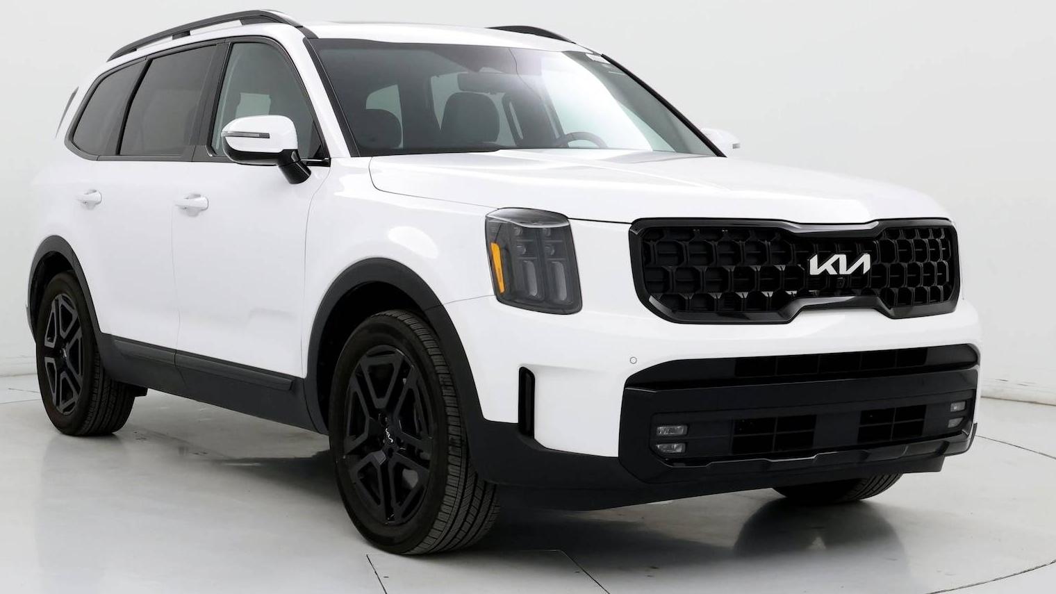 KIA TELLURIDE 2024 5XYP5DGC7RG491939 image