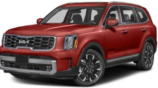 KIA TELLURIDE 2024 5XYP5DGC8RG429482 image