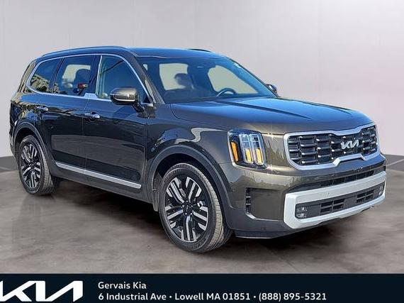 KIA TELLURIDE 2024 5XYP5DGC2RG537421 image