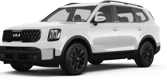 KIA TELLURIDE 2024 5XYP5DGC3RG562487 image