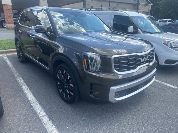 KIA TELLURIDE 2024 5XYP54GC4RG492322 image