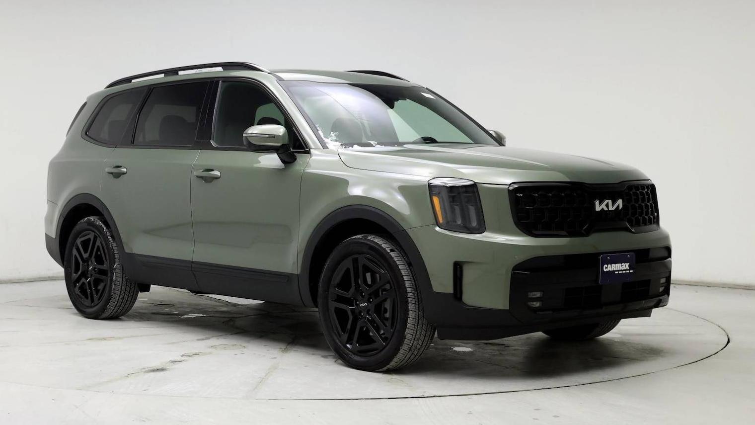 KIA TELLURIDE 2024 5XYP5DGC1RG494996 image