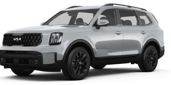 KIA TELLURIDE 2024 5XYP5DGC7RG436925 image