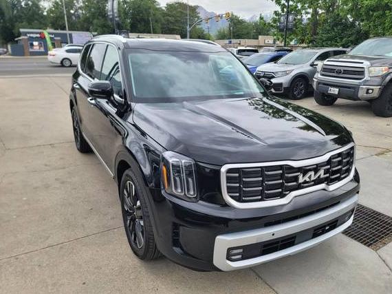 KIA TELLURIDE 2024 5XYP5DGC1RG507245 image