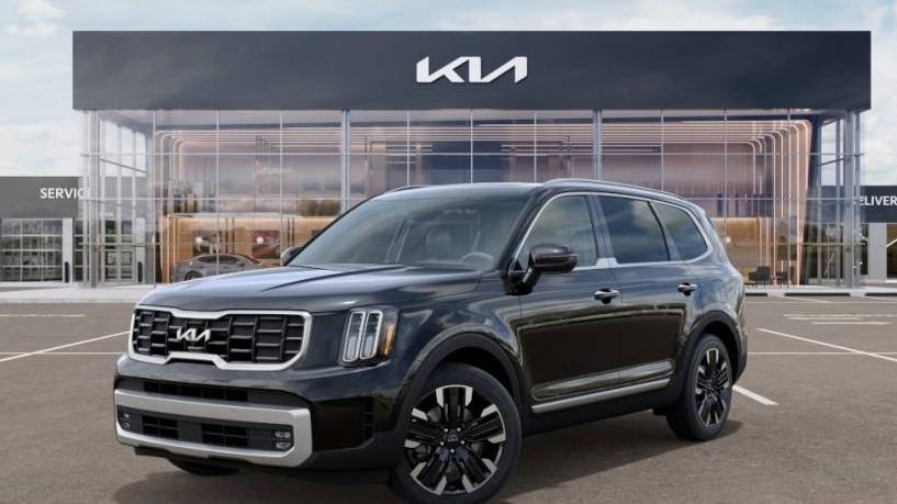 KIA TELLURIDE 2024 5XYP5DGC6RG464831 image