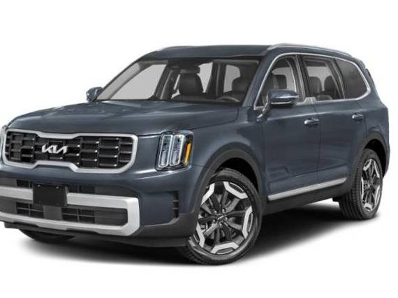 KIA TELLURIDE 2024 5XYP6DGC6RG440204 image