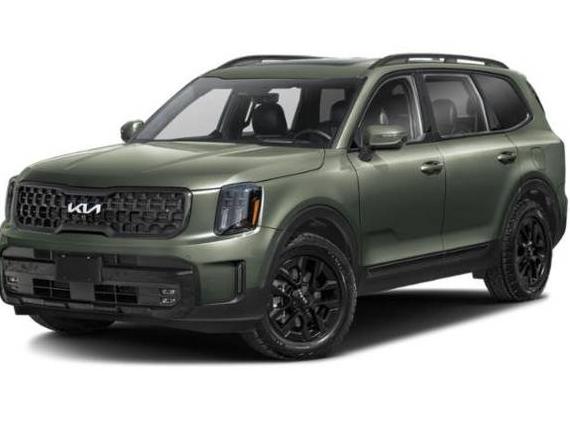 KIA TELLURIDE 2024 5XYP5DGC9RG544575 image