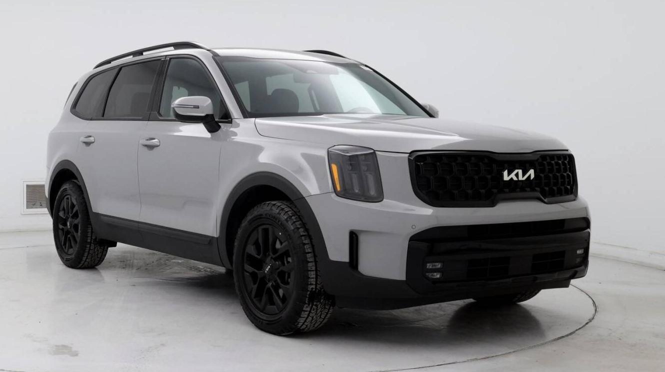 KIA TELLURIDE 2024 5XYP5DGC3RG431690 image