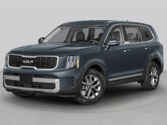 KIA TELLURIDE 2024 5XYP6DGCXRG491172 image