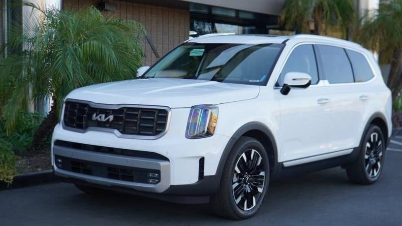 KIA TELLURIDE 2024 5XYP5DGC2RG460338 image