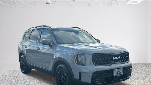 KIA TELLURIDE 2024 5XYP5DGC3RG447436 image