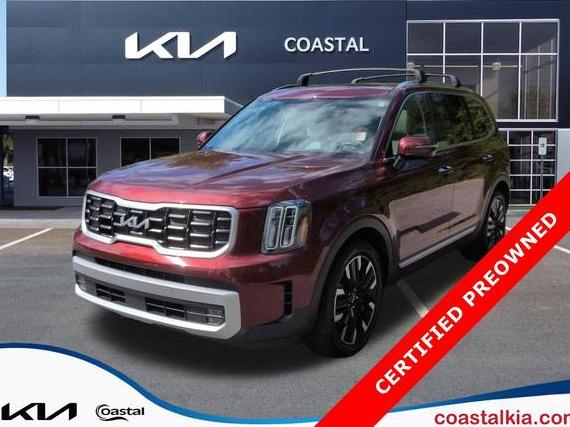 KIA TELLURIDE 2024 5XYP5DGC0RG441240 image