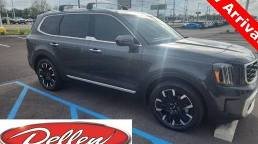 KIA TELLURIDE 2024 5XYP5DGC3RG517341 image