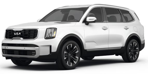 KIA TELLURIDE 2024 5XYP5DGC6RG499157 image