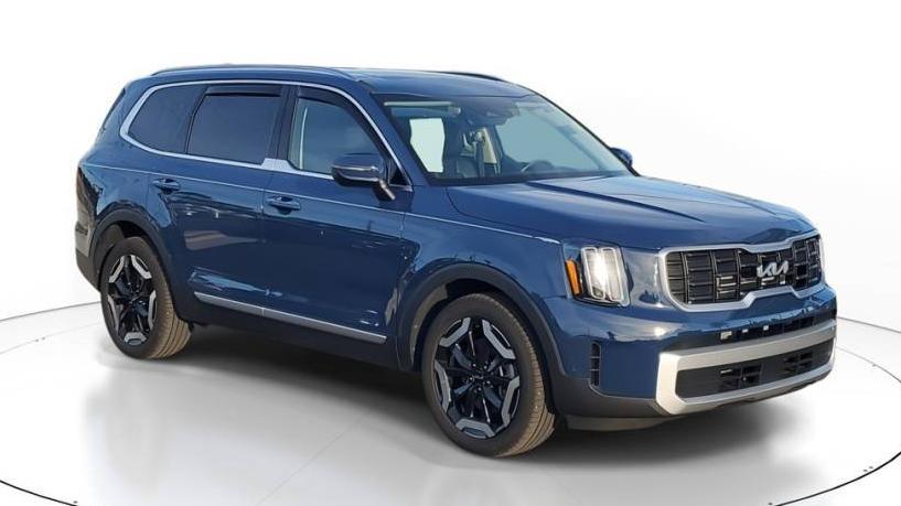 KIA TELLURIDE 2024 5XYP6DGC0RG445804 image