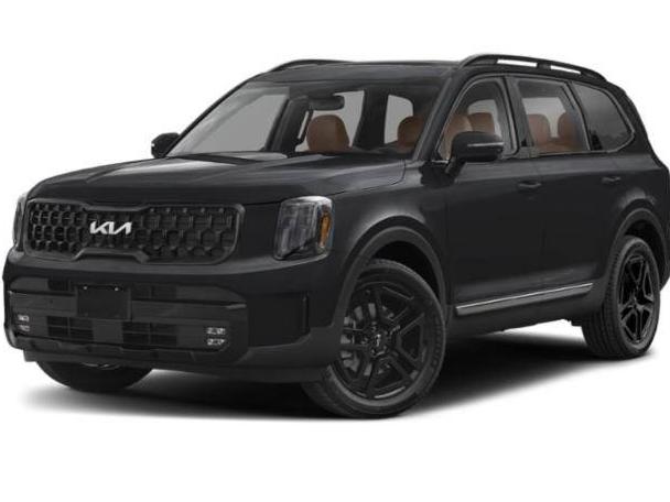 KIA TELLURIDE 2024 5XYP5DGC0RG486808 image