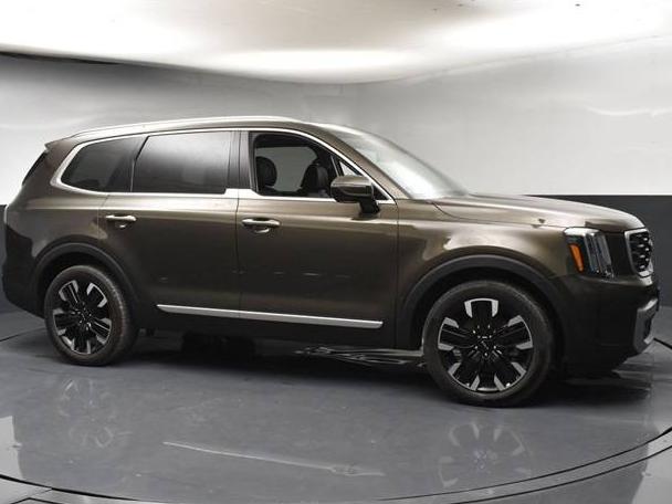 KIA TELLURIDE 2024 5XYP5DGC3RG431480 image