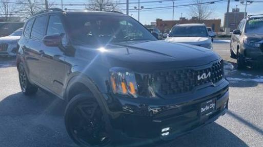 KIA TELLURIDE 2024 5XYP5DGC1RG446611 image