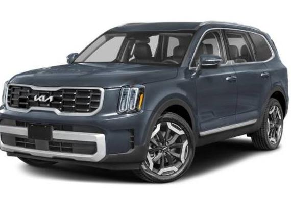 KIA TELLURIDE 2024 5XYP6DGC3RG478604 image