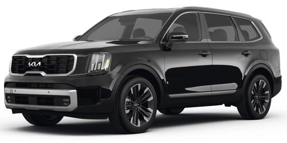 KIA TELLURIDE 2024 5XYP5DGC2RG563095 image
