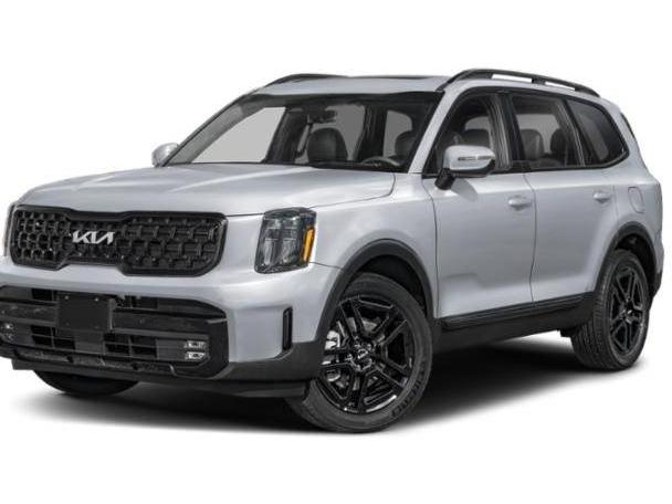 KIA TELLURIDE 2024 5XYP5DGC0RG444056 image