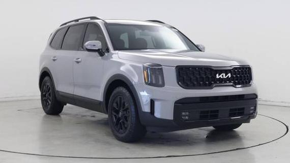 KIA TELLURIDE 2024 5XYP5DGC6RG476316 image