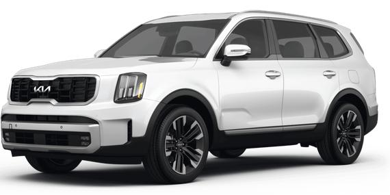 KIA TELLURIDE 2024 5XYP5DGC6RG479054 image
