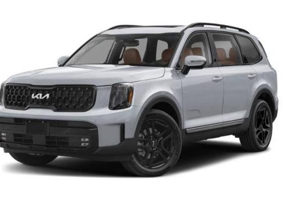 KIA TELLURIDE 2024 5XYP5DGC3RG469873 image