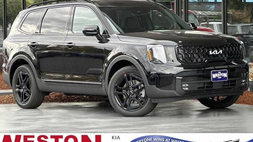 KIA TELLURIDE 2024 5XYP5DGC8RG448159 image