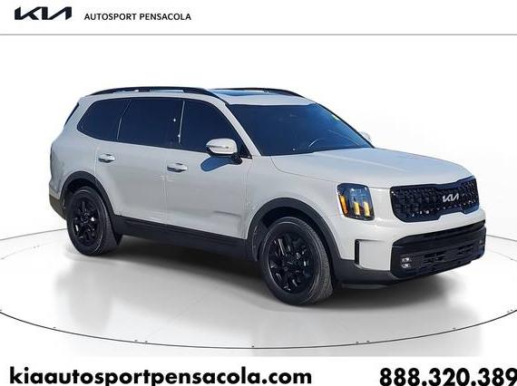 KIA TELLURIDE 2024 5XYP5DGC6RG416245 image