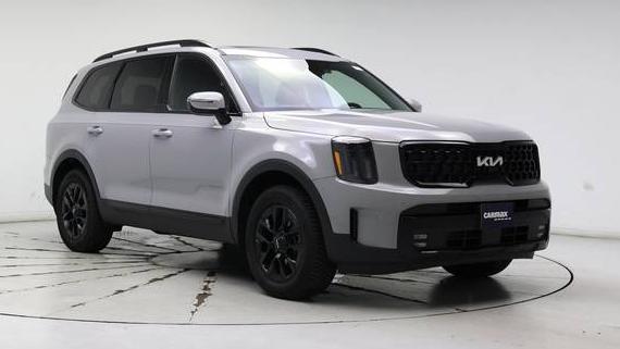 KIA TELLURIDE 2024 5XYP5DGC6RG451559 image