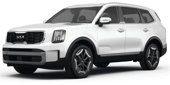 KIA TELLURIDE 2024 5XYP6DGC2RG425022 image