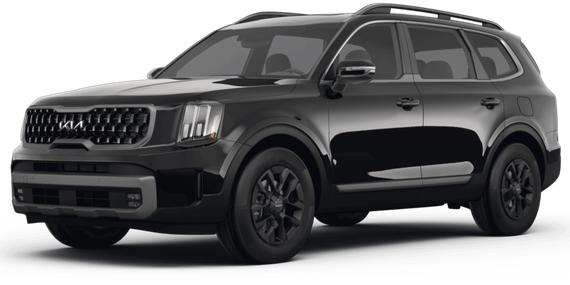 KIA TELLURIDE 2024 5XYP5DGC2RG435701 image