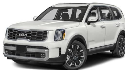 KIA TELLURIDE 2024 5XYP5DGC0RG453873 image