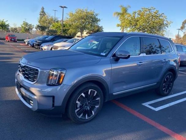 KIA TELLURIDE 2024 5XYP5DGC4RG421167 image
