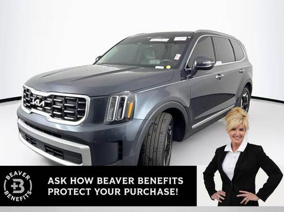 KIA TELLURIDE 2024 5XYP6DGC5RG462887 image