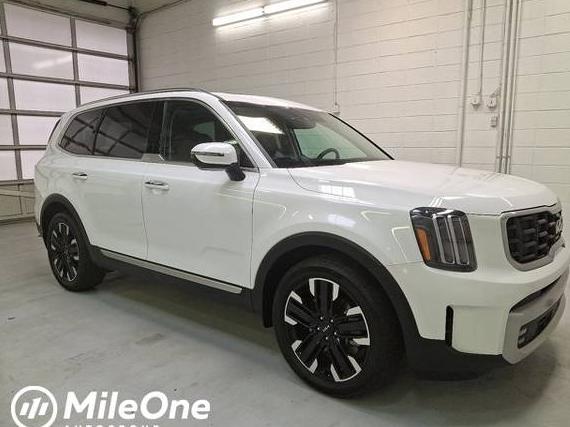 KIA TELLURIDE 2024 5XYP5DGC6RG483377 image