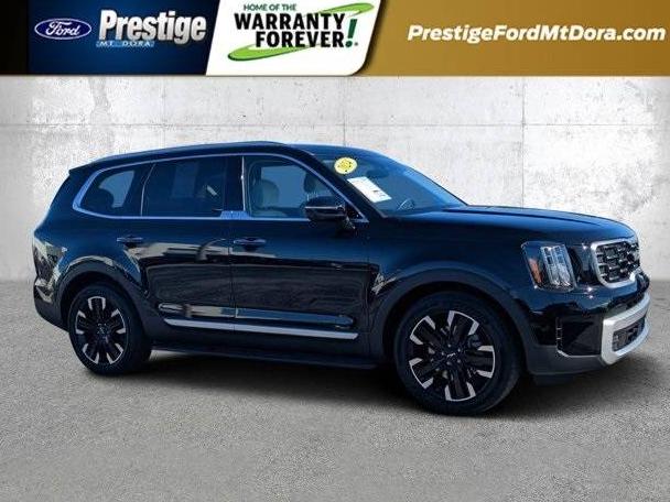 KIA TELLURIDE 2024 5XYP5DGC3RG451650 image