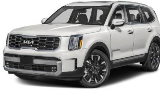 KIA TELLURIDE 2024 5XYP5DGC4RG450054 image