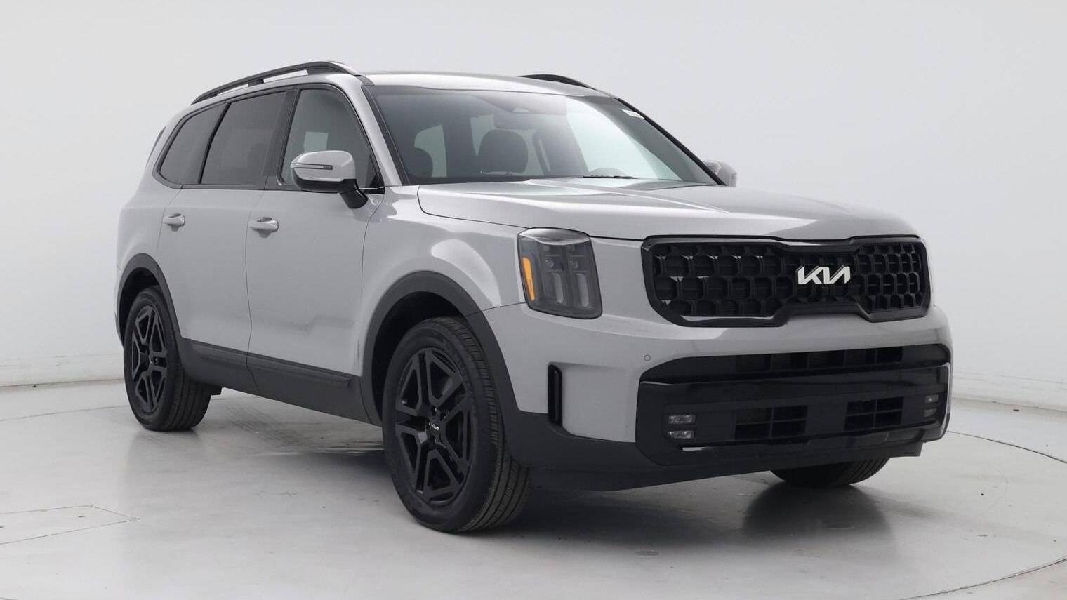 KIA TELLURIDE 2024 5XYP5DGC7RG416092 image