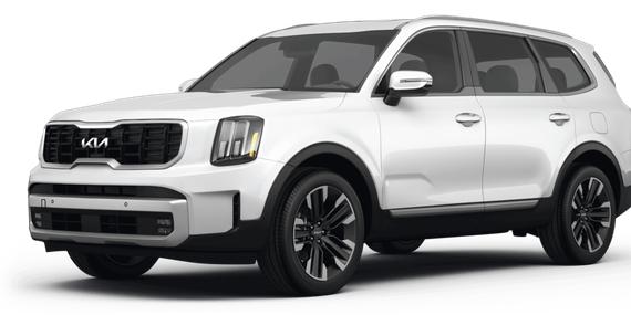 KIA TELLURIDE 2024 5XYP5DGC8RG489875 image