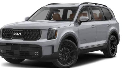 KIA TELLURIDE 2024 5XYP5DGC8RG453538 image