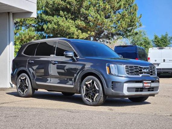 KIA TELLURIDE 2024 5XYP6DGC9RG431254 image