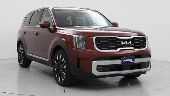KIA TELLURIDE 2024 5XYP5DGC1RG554999 image