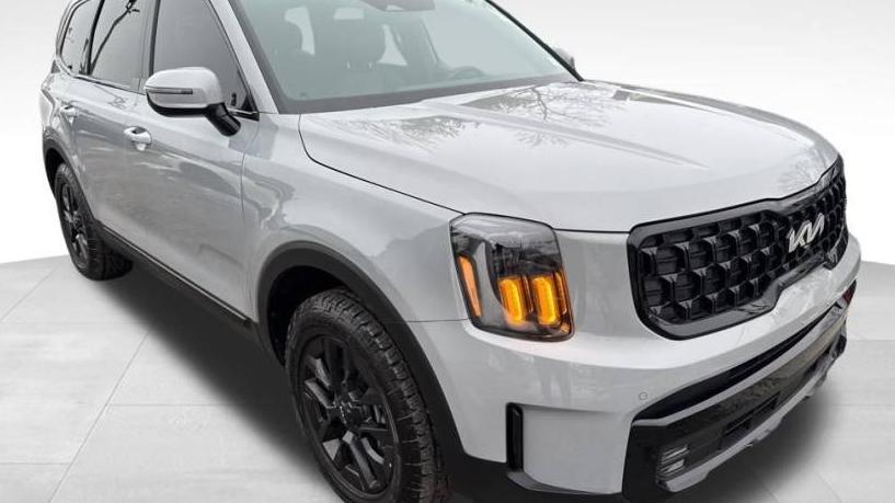 KIA TELLURIDE 2024 5XYP5DGC9RG493871 image