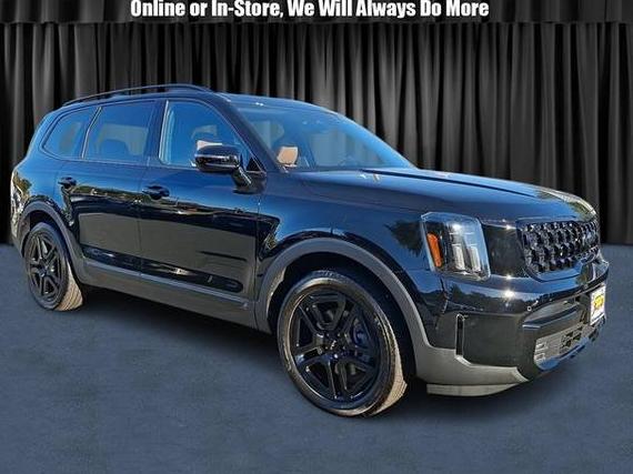 KIA TELLURIDE 2024 5XYP5DGC0RG564536 image