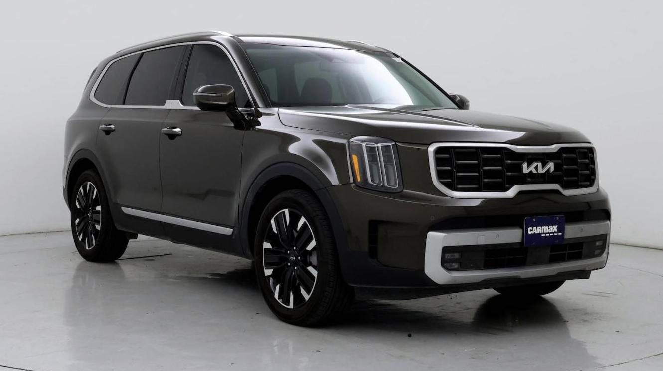 KIA TELLURIDE 2024 5XYP5DGC3RG513337 image