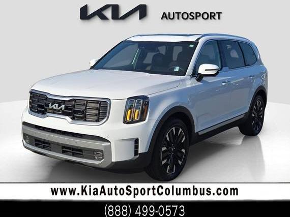 KIA TELLURIDE 2024 5XYP5DGC1RG420977 image